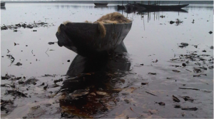Environmental Regulation: International Compensation Systems for oil spills in relation to reform in Nigeria