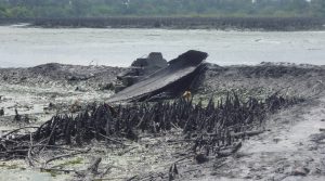 Towards improving the joint investigation visit for oil spills