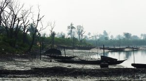 Addressing the South South’s Environmental Emergency: The vital importance of environmental issues in securing stability and prosperity in the Niger Delta