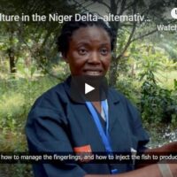 Aquaculture - alternative livelihoods in the Niger Delta